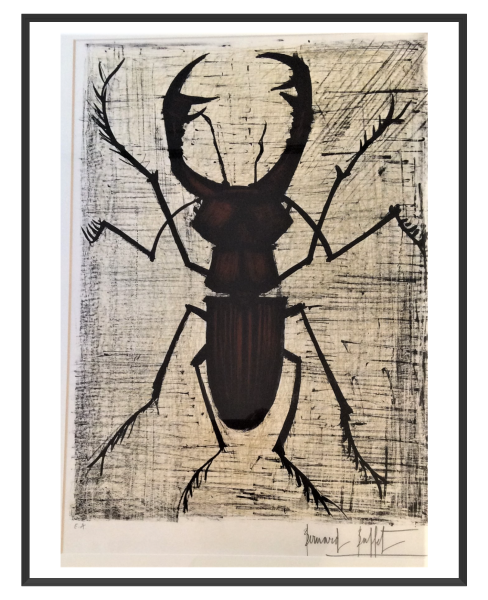 Litho EA Le lucane 71 x 50 cm